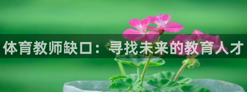 体育教师缺口：寻找未来的教育人才