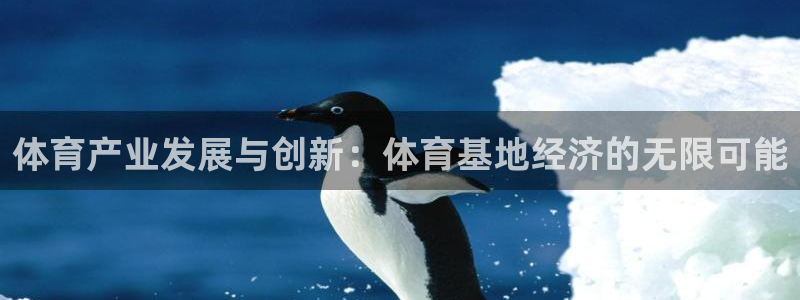 体育产业发展与创新：体育基地经济的无限可能