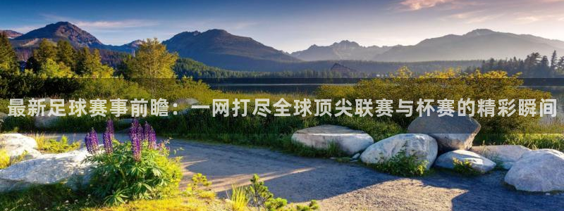 最新足球赛事前瞻：一网打尽全球顶尖联赛与杯赛的精彩瞬间