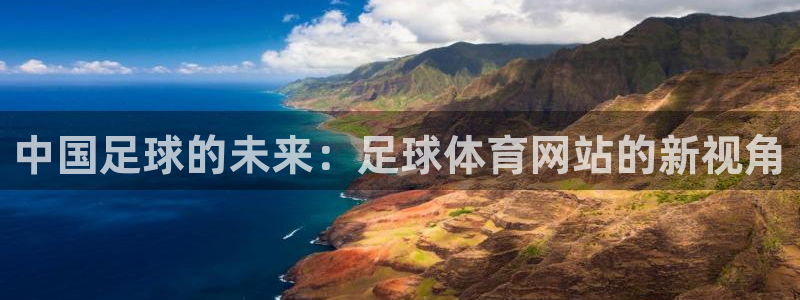 中国足球的未来：足球体育网站的新视角