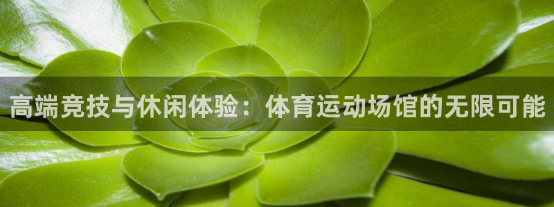 高端竞技与休闲体验：体育运动场馆的无限可能