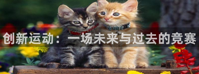 创新运动：一场未来与过去的竞赛