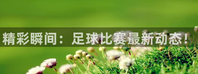 精彩瞬间：足球比赛最新动态！