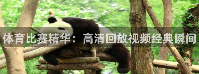 体育比赛精华：高清回放视频经典瞬间