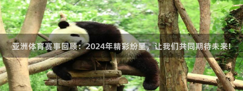 亚洲体育赛事回顾：2024年精彩纷呈，让我们共同期待未来!