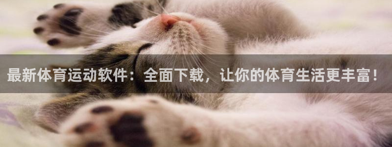 最新体育运动软件：全面下载，让你的体育生活更丰富！