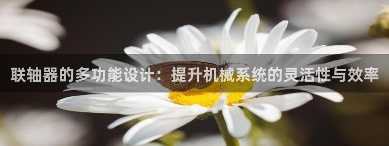 联轴器的多功能设计：提升机械系统的灵活性与效率