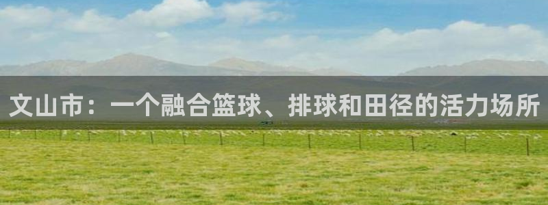 文山市：一个融合篮球、排球和田径的活力场所