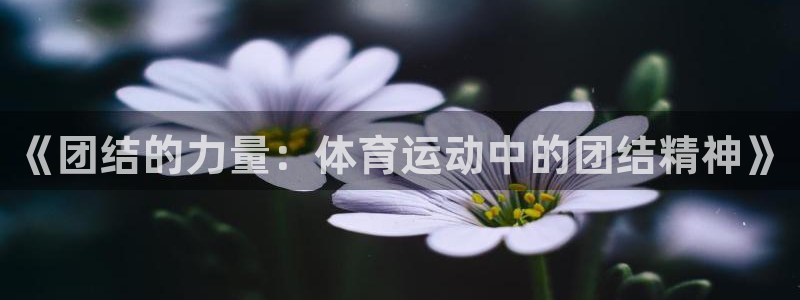《团结的力量：体育运动中的团结精神》
