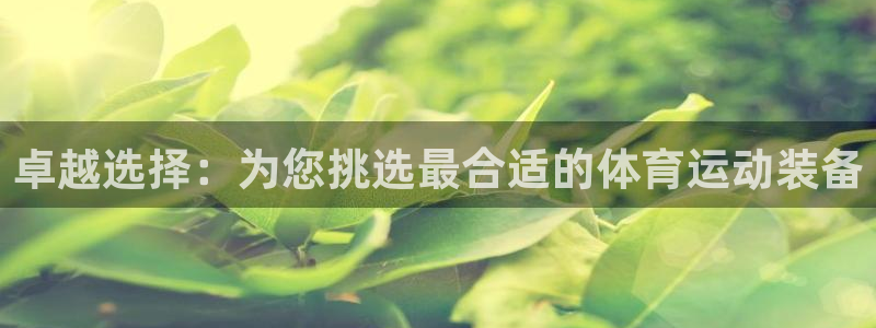 卓越选择：为您挑选最合适的体育运动装备