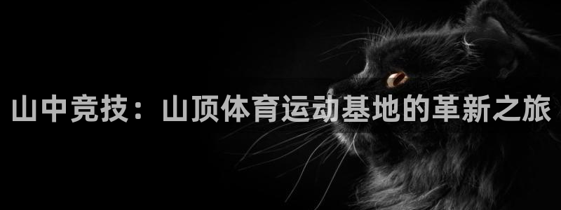 山中竞技：山顶体育运动基地的革新之旅