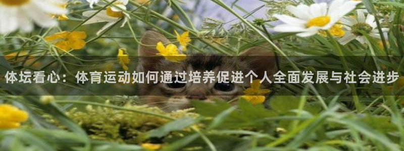 体坛看心：体育运动如何通过培养促进个人全面发展与社会进步