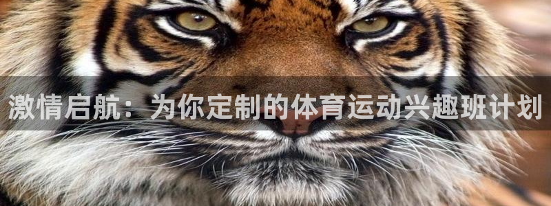 激情启航：为你定制的体育运动兴趣班计划