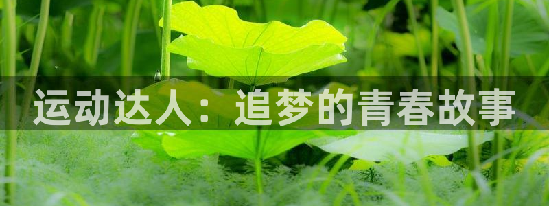 运动达人：追梦的青春故事