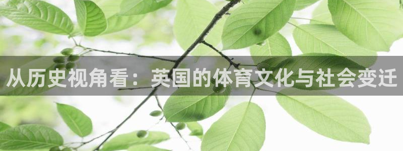 从历史视角看：英国的体育文化与社会变迁