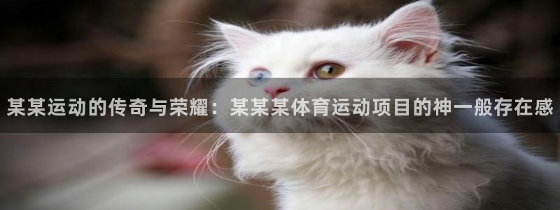 某某运动的传奇与荣耀：某某某体育运动项目的神一般存在感