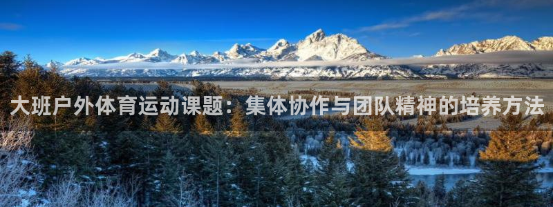 大班户外体育运动课题：集体协作与团队精神的培养方法
