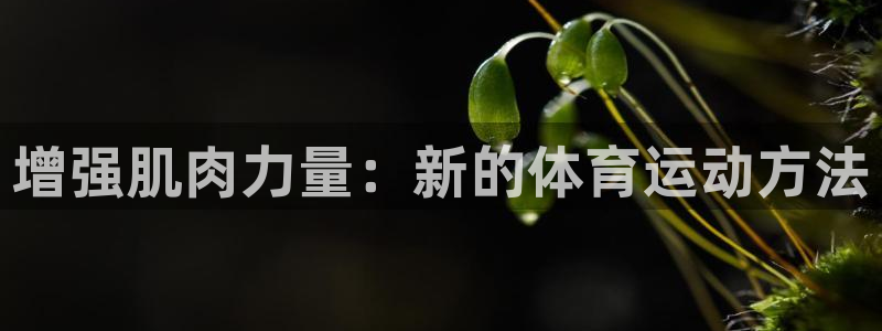 增强肌肉力量：新的体育运动方法