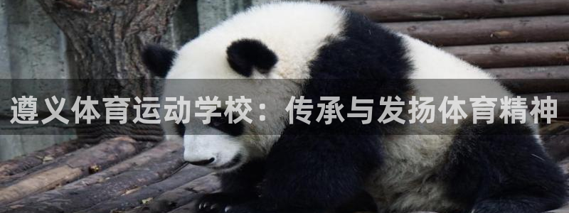 遵义体育运动学校：传承与发扬体育精神
